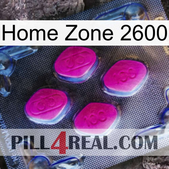 Home Zone 2600 02.jpg